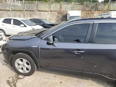 2019 Toyota RAV4 VIN: