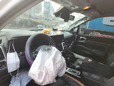 2021 Kia Sorento KNARH81BHMA048343 VIN:KNARH81BHMA048343