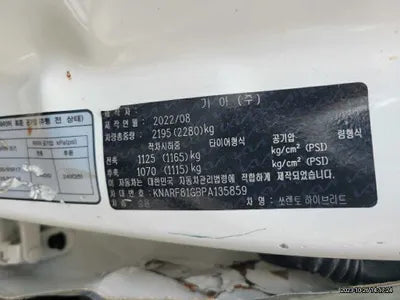 2023 Kia Sorento KNARF81GBPA135859 VIN:KNARF81GBPA135859