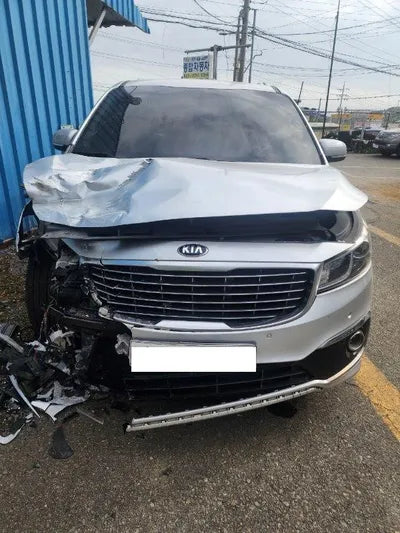 2016 Kia Carnival 487KMKNAMB81ABGS1 VIN:487KMKNAMB81ABGS1