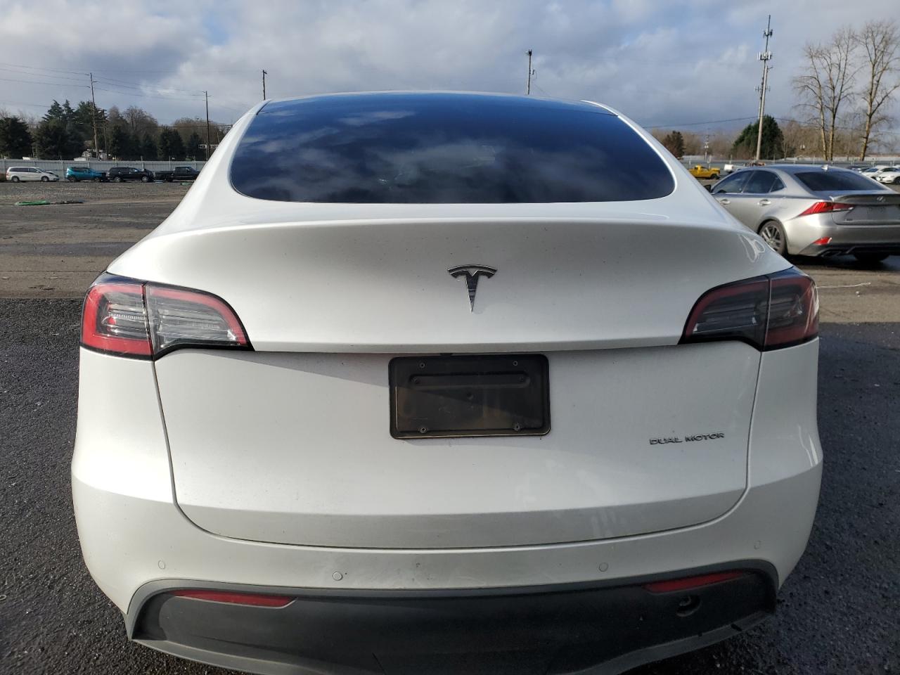 2022 TESLA MODEL Y  VIN:7SAYGDEE8NF556384