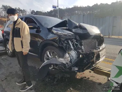 2018 Kia Sorento 302KMKNAPS81BBJA4 VIN:302KMKNAPS81BBJA4