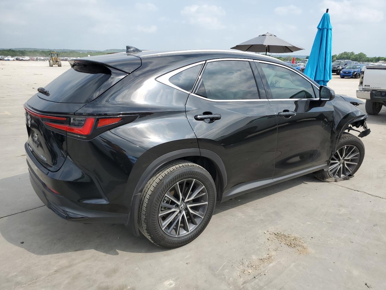 2024 LEXUS NX 250 PREMIUM VIN:2T2GDCAZ9RC008193