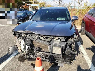 2019 Hyundai Santa FE KMHS381BBKU087945 VIN:KMHS381BBKU087945