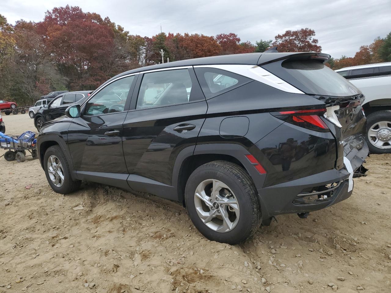 2023 HYUNDAI TUCSON SE VIN:5NMJACAEXPH254421