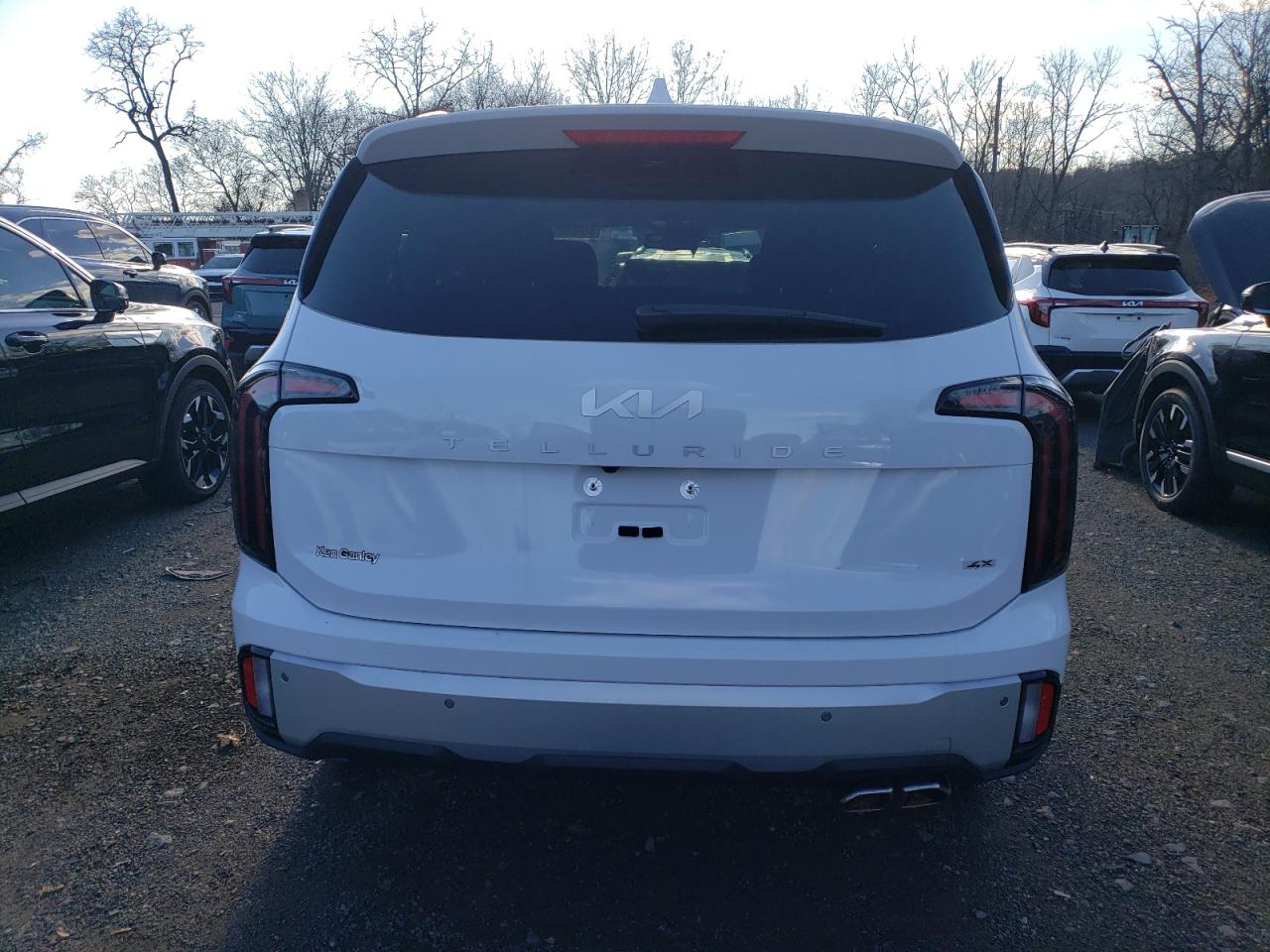 2024 KIA TELLURIDE EX VIN:5XYP3DGCXRG551136