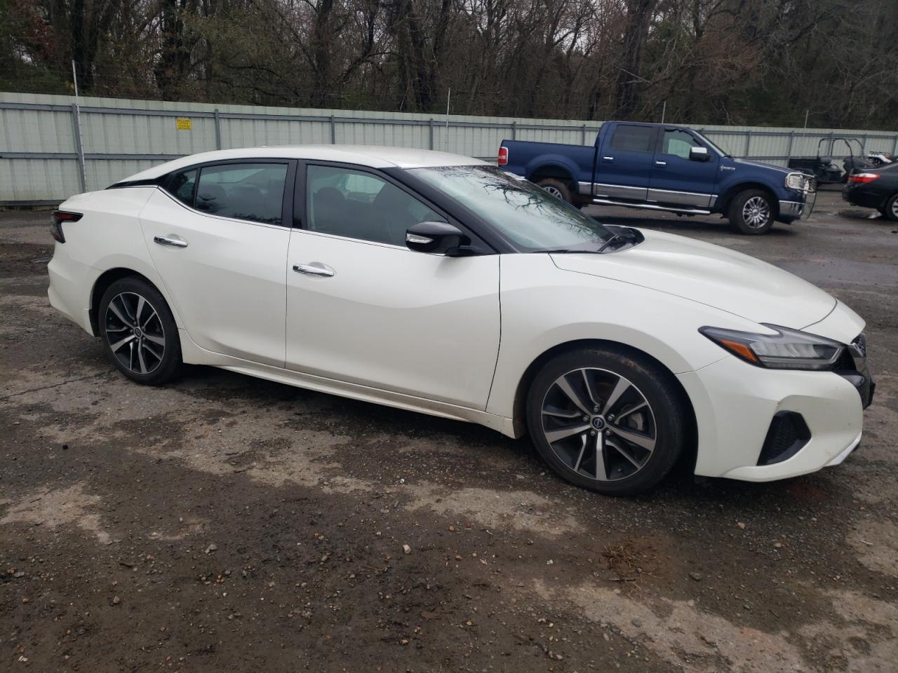 2023 NISSAN MAXIMA SV VIN:1N4AA6CV3PC503094
