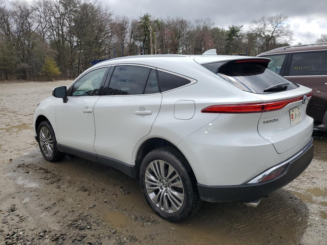 2023 TOYOTA VENZA LE VIN:JTEAAAAH3PJ141947
