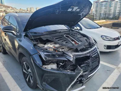 2020 Lexus NX 300 VIN: