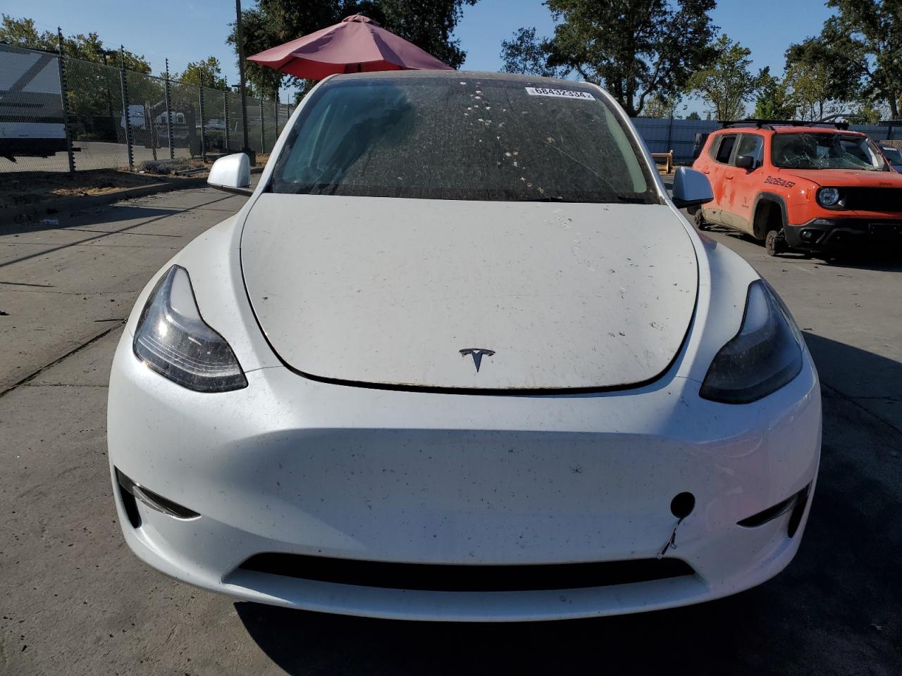 2023 TESLA MODEL Y  VIN:7SAYGAEE9PF835117