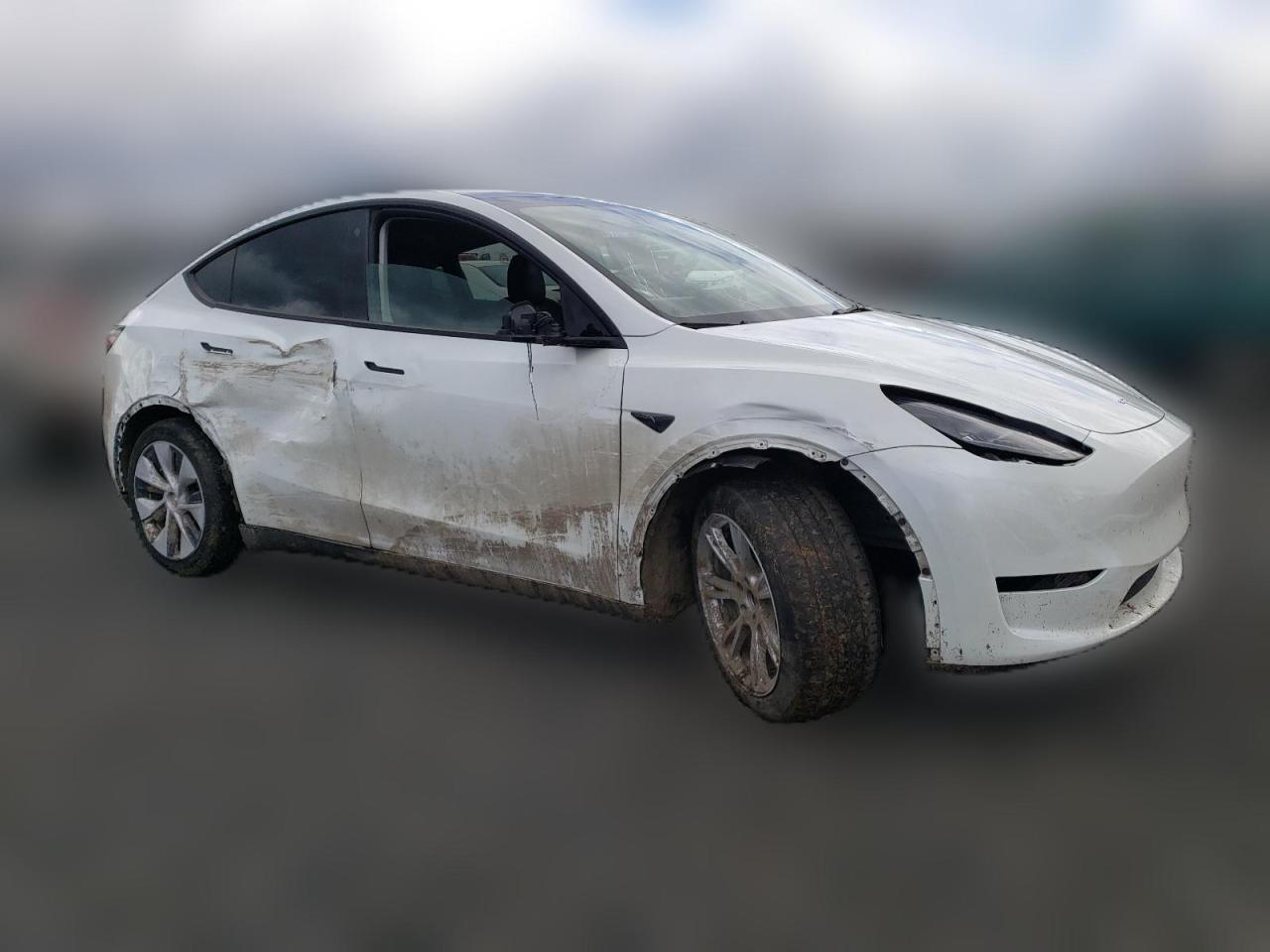 2023 TESLA MODEL Y  VIN:7SAYGDEE5PF661869