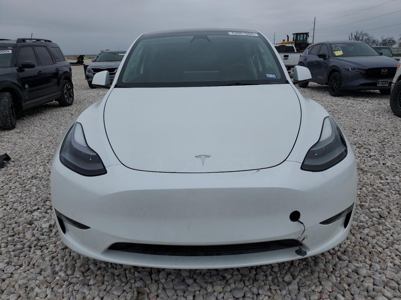 2023 TESLA MODEL Y  VIN:7SAYGDEF2PF663121