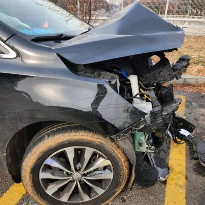 2017 Kia Carnival KNAMB81ABJS422650 VIN:KNAMB81ABJS422650