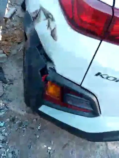 2020 Hyundai Kona KMHK381EGLU033000 VIN:KMHK381EGLU033000