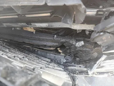 2019 Genesis G80 VIN: