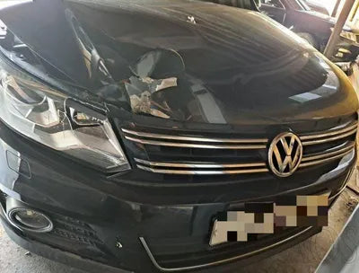 2015 Volkswagen Tiguan VIN: