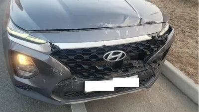 2019 Hyundai Santa FE KMHS281BBKU107541 VIN:KMHS281BBKU107541