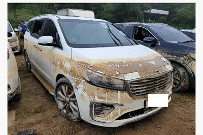 2019 Kia Carnival KNAME81ABKS496164 VIN:KNAME81ABKS496164