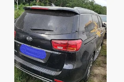 2018 Kia Carnival KNAMC81ABKS480119 VIN:KNAMC81ABKS480119