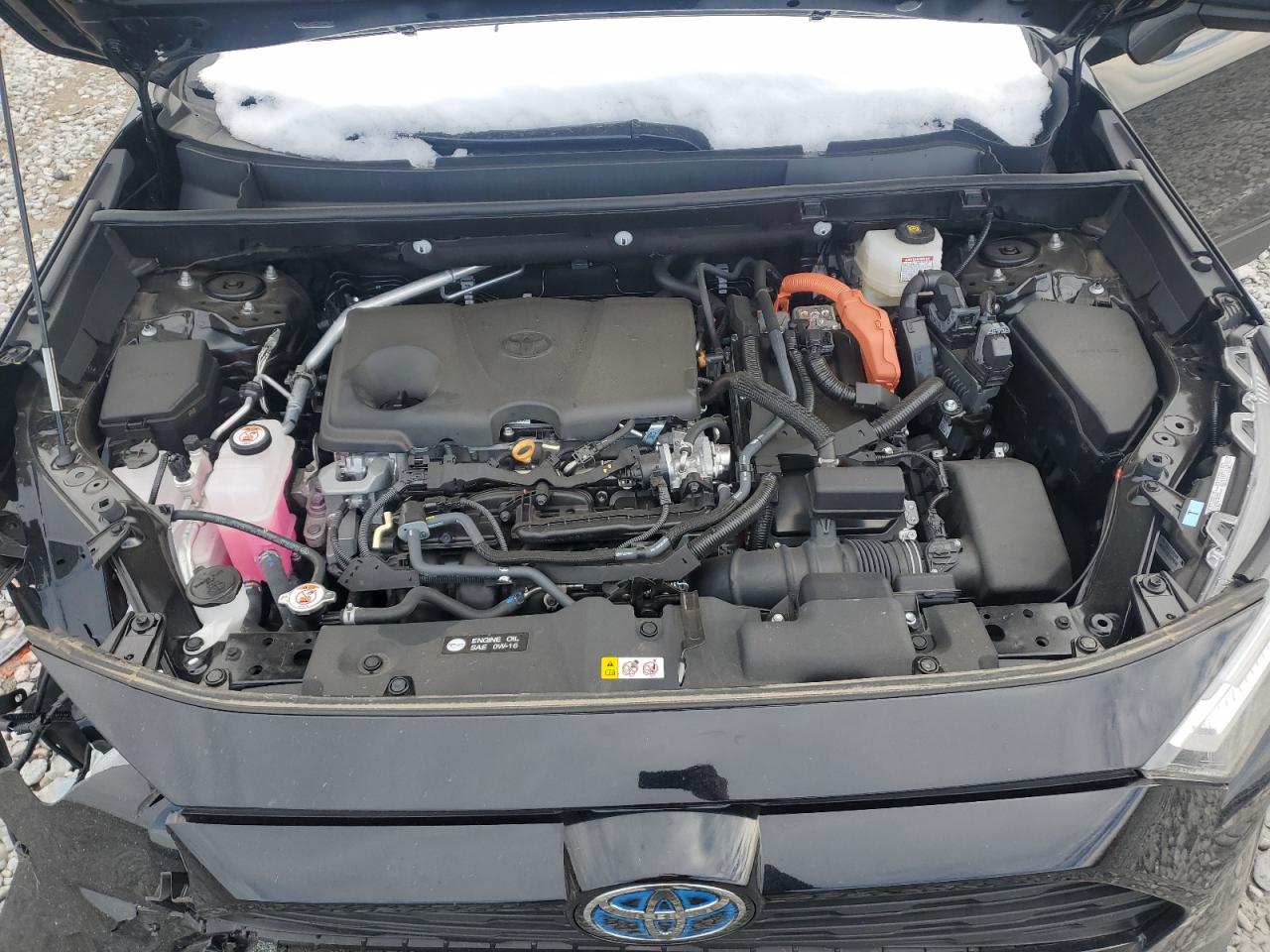 2024 TOYOTA RAV4 LE VIN:4T3LWRFV0RU139279