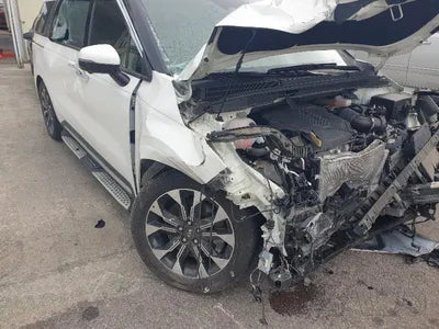 2021 Kia Carnival KNANE81BBMS025839 VIN:KNANE81BBMS025839