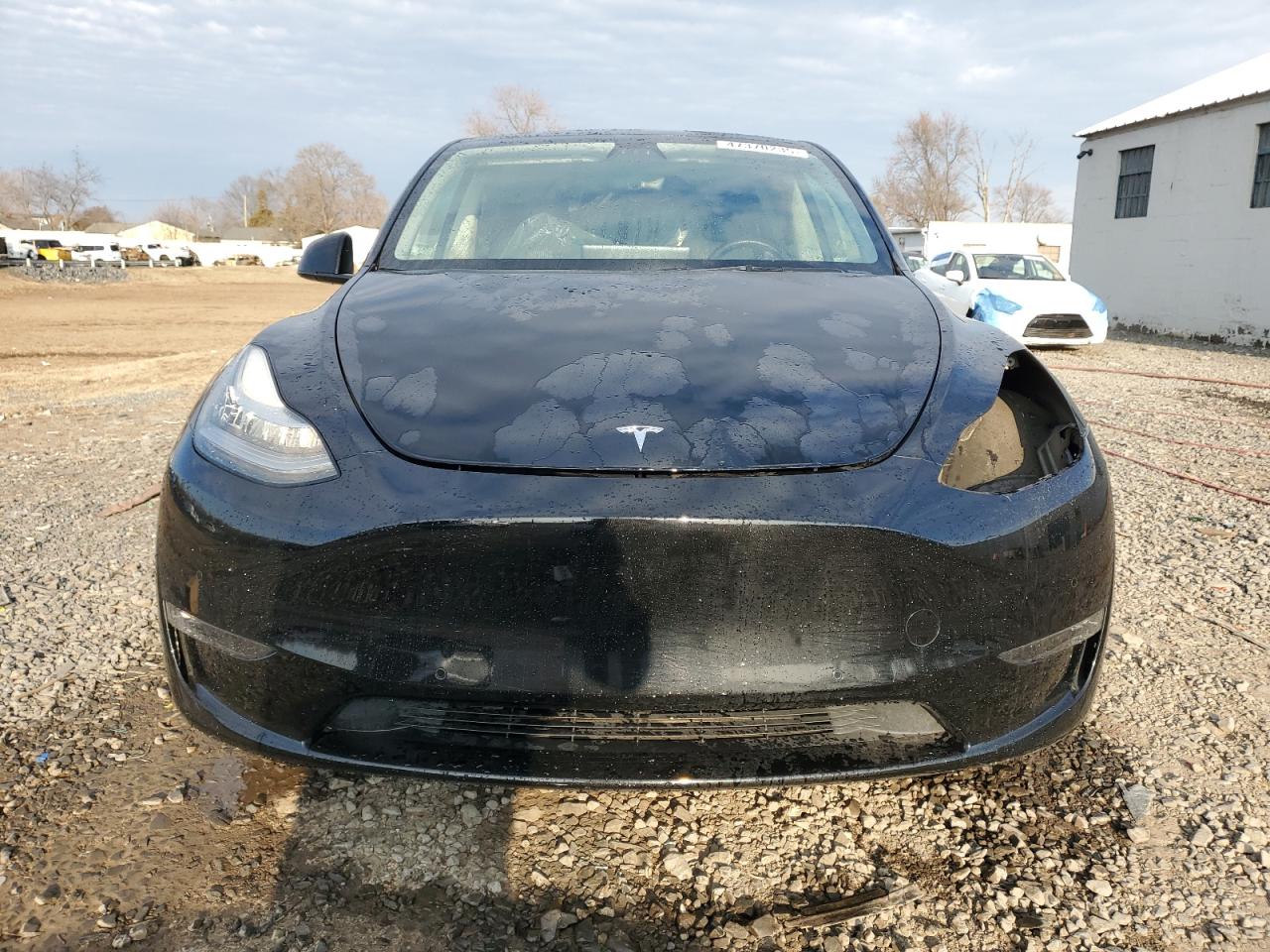 2022 TESLA MODEL Y  VIN:7SAYGAEE5NF376911