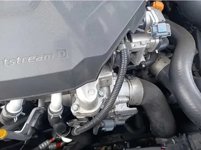 2021 Kia Sorento KNARK81BHMA010781 VIN:KNARK81BHMA010781