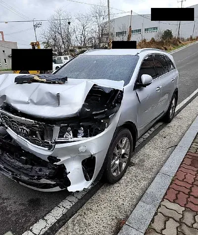 2020 Kia Sorento KNAPH81ABLA644913 VIN:KNAPH81ABLA644913