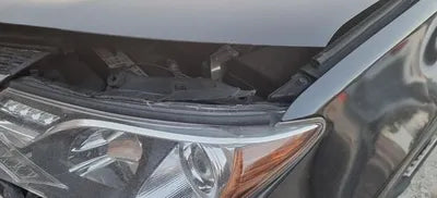 2014 Toyota RAV4 VIN: