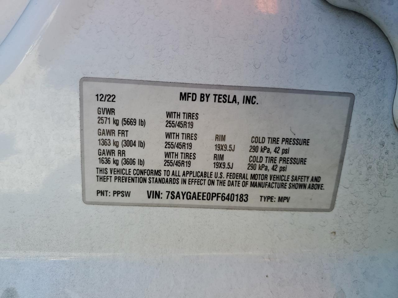 2023 TESLA MODEL Y  VIN:7SAYGAEE0PF640183