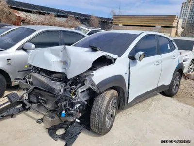 2020 Hyundai Kona KMHK381EGLU016312 VIN:KMHK381EGLU016312