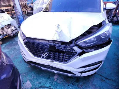 2017 Hyundai Tucson KMHJ3815GHU417672 VIN:KMHJ3815GHU417672