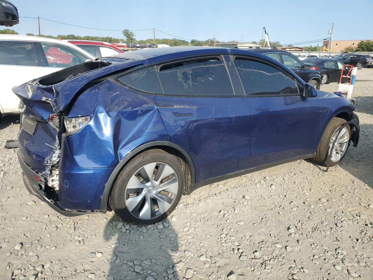 2023 TESLA MODEL Y  VIN:7SAYGDEE3PA091920