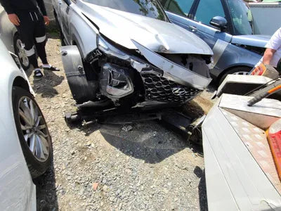 2019 Hyundai Santa FE KMHS381BBKU156411 VIN:KMHS381BBKU156411