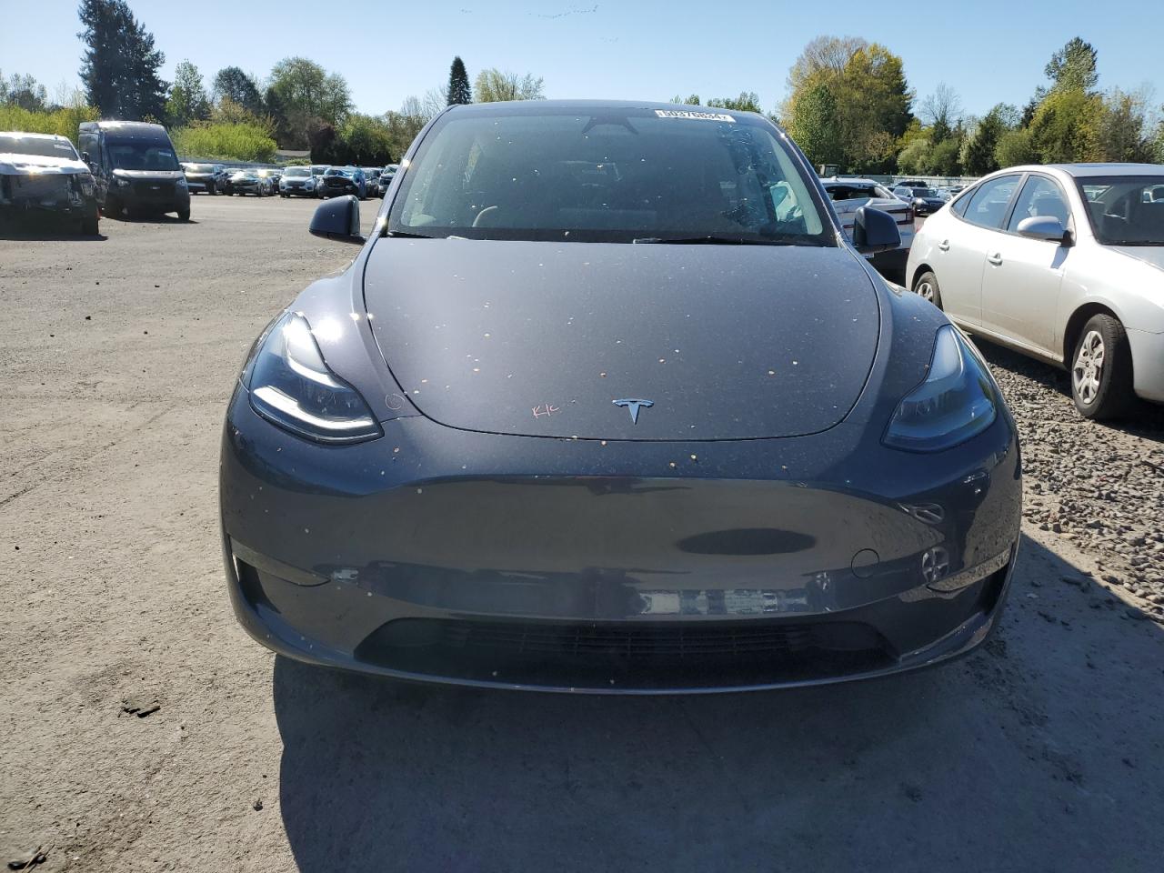 2023 TESLA MODEL Y  VIN:7SAYGDED4PF945694