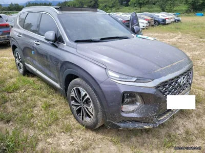 2019 Hyundai Santa FE KMHS381CBKU076010 VIN:KMHS381CBKU076010