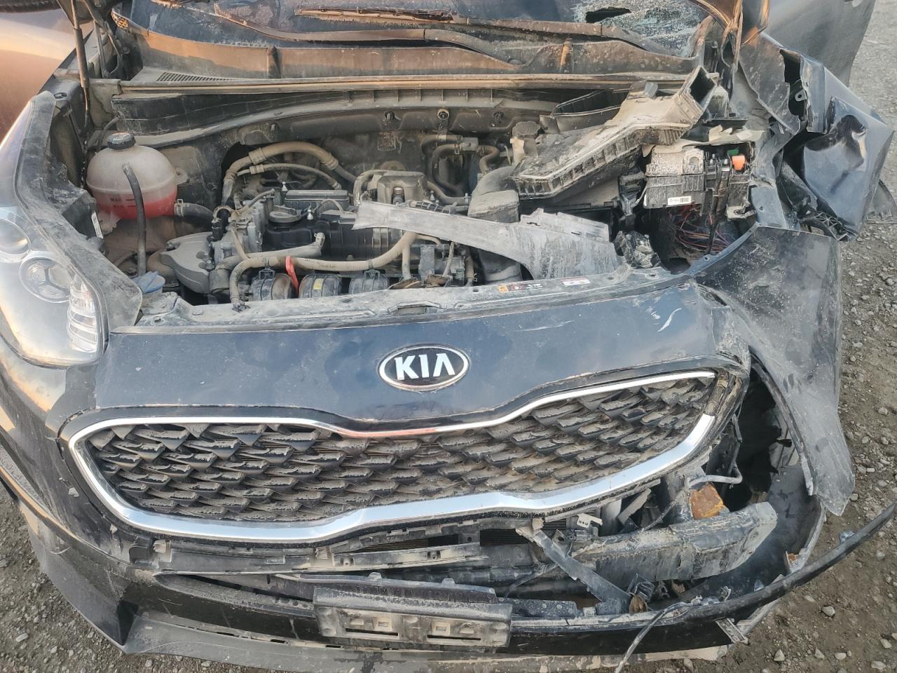 2022 KIA SPORTAGE LX VIN:KNDPM3AC6N7018966