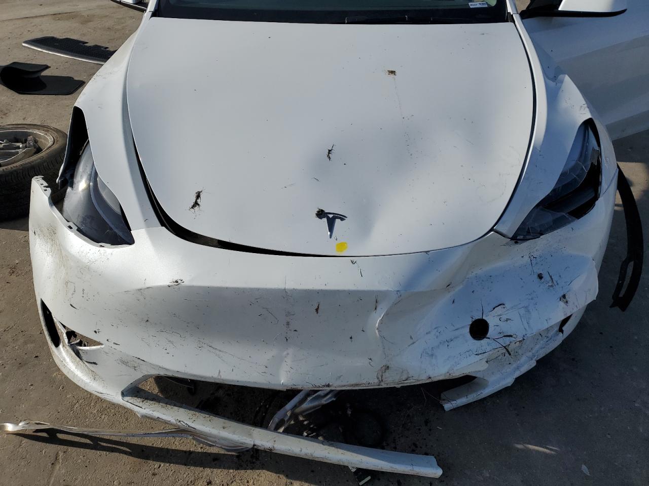 2024 TESLA MODEL Y  VIN:7SAYGDED4RF055859