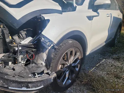 2021 Kia Sorento KNARH81BGMA087932 VIN:KNARH81BGMA087932