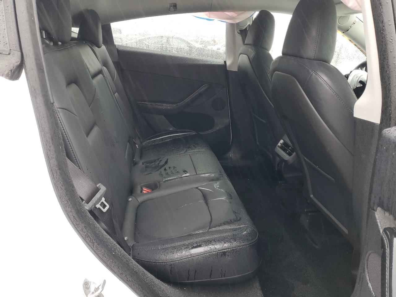 2024 TESLA MODEL Y  VIN:7SAYGDEE8RF167265