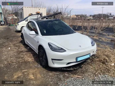 2020 Tesla Model 3 5YJ3E1EB9LF695079 VIN:5YJ3E1EB9LF695079