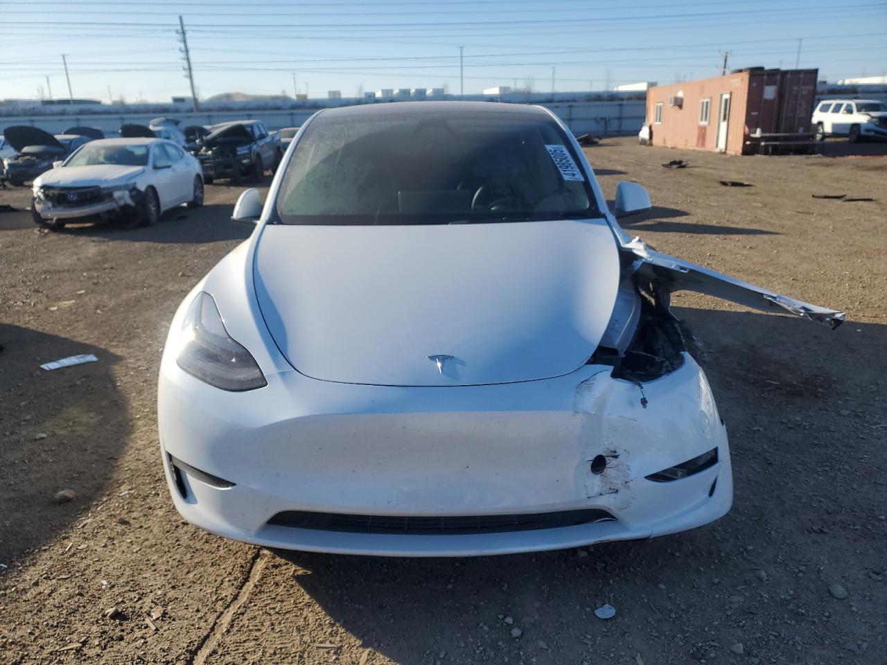 2024 TESLA MODEL Y  VIN:7SAYGDEE1RA260769