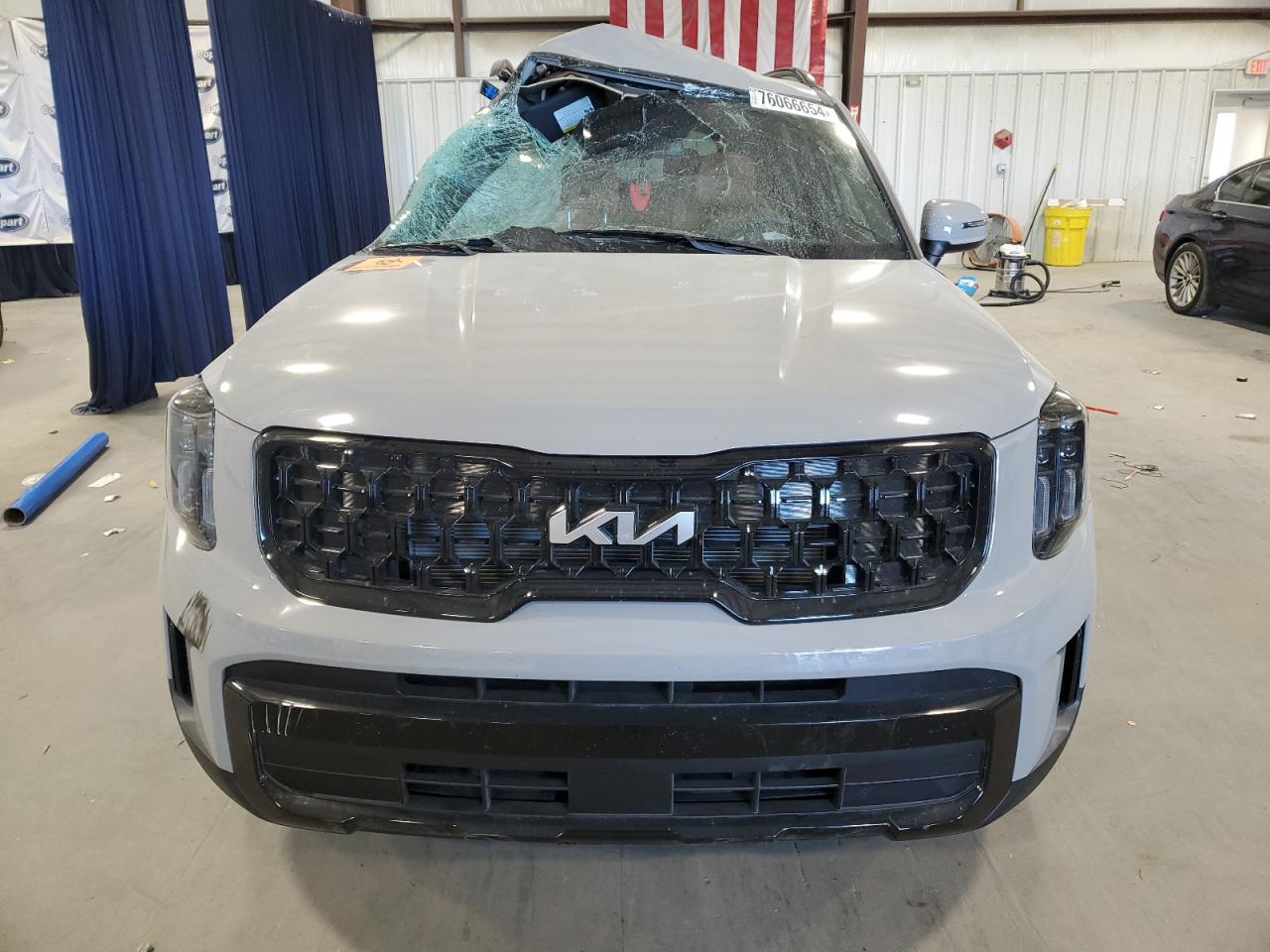 2024 KIA TELLURIDE EX VIN:5XYP3DGC3RG555030