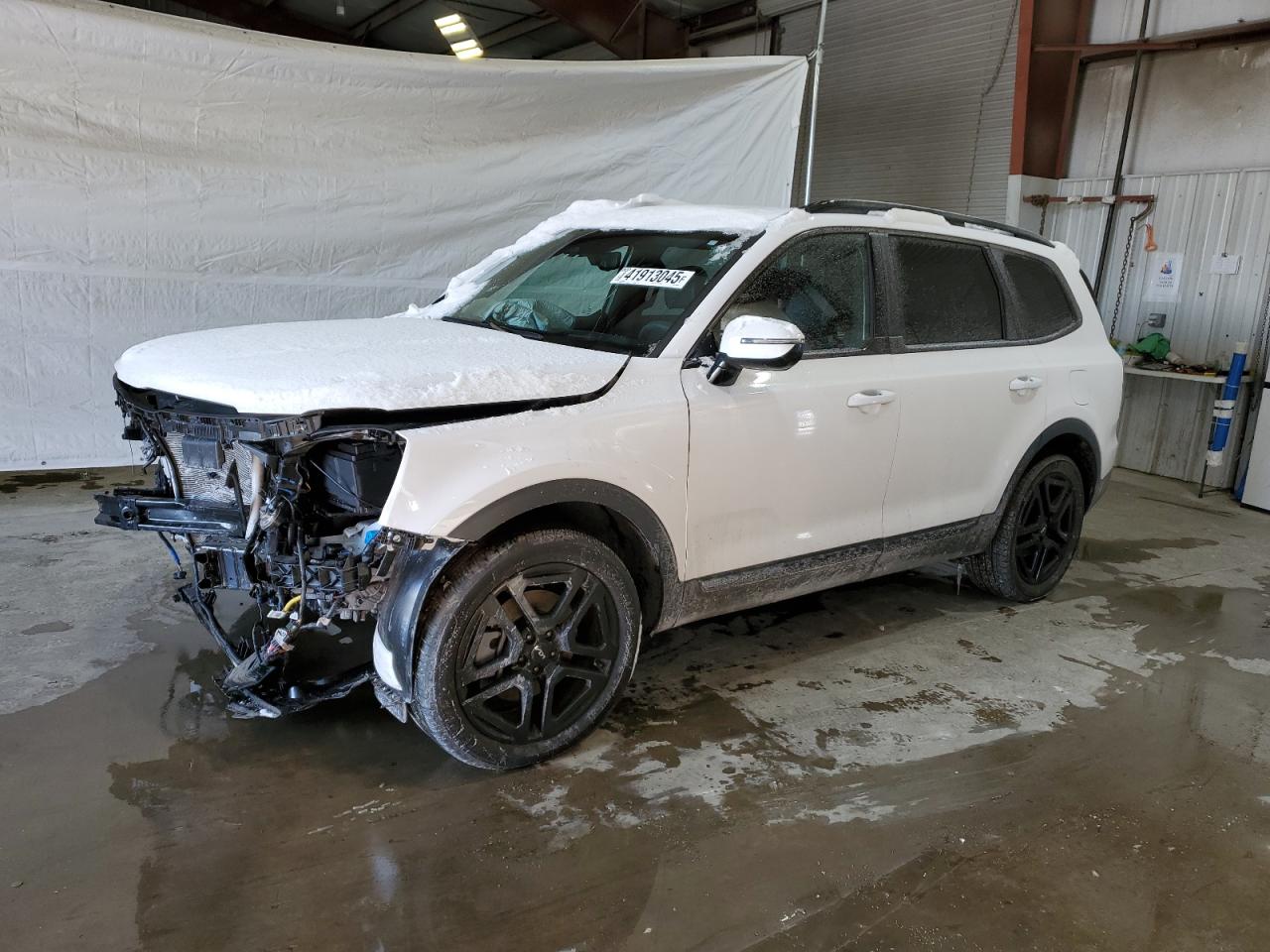 2024 KIA TELLURIDE SX VIN:5XYP5DGC3RG483384