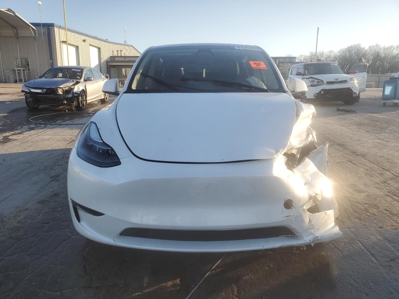 2023 TESLA MODEL Y  VIN:7SAYGDEE2PF784609