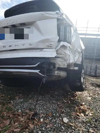 2021 Kia Sorento KNARH81BGMA053240 VIN:KNARH81BGMA053240
