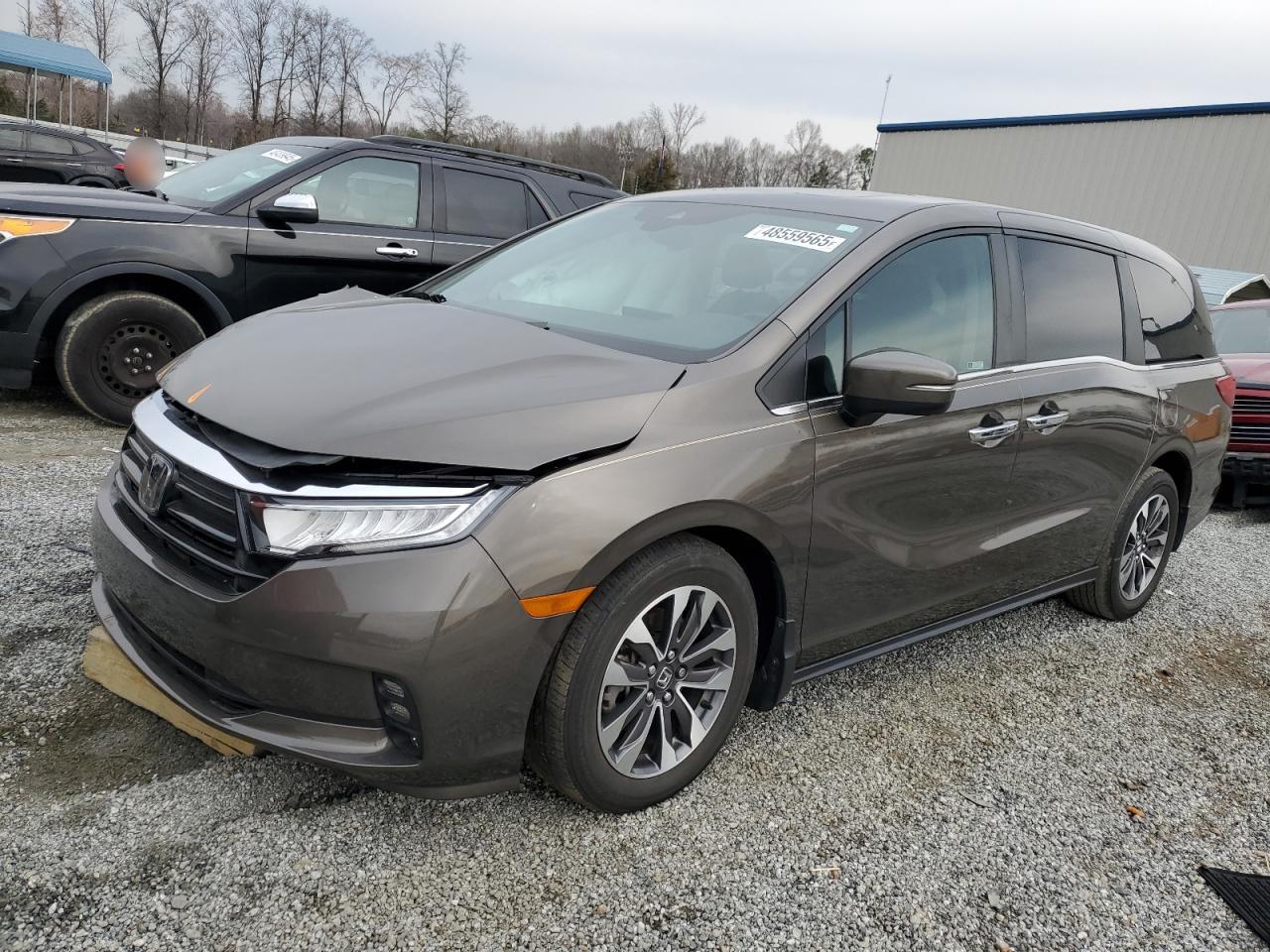 2023 HONDA ODYSSEY EXL VIN:5FNRL6H69PB033309