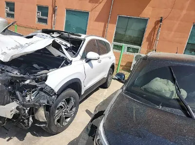 2021 Hyundai Santa FE KMHS381HGMU344096 VIN:KMHS381HGMU344096