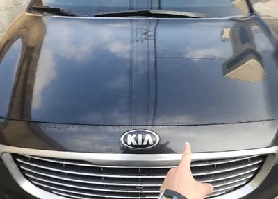 2016 Kia Carnival KNAME81ABGS104287 VIN:KNAME81ABGS104287