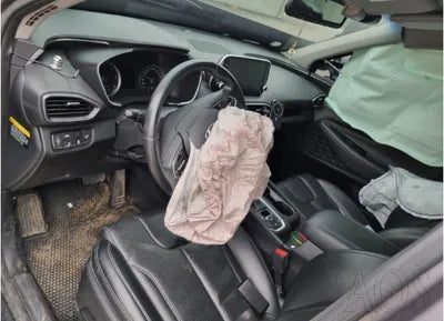 2019 Hyundai Santa FE KMHS381BBKU066114 VIN:KMHS381BBKU066114